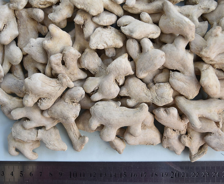 生薬とは・・・