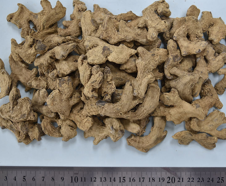 生薬とは・・・