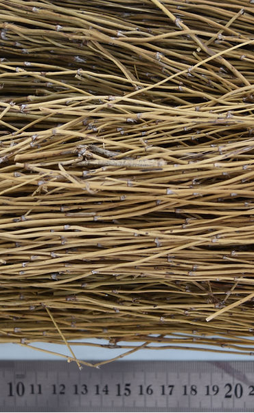 生薬とは・・・