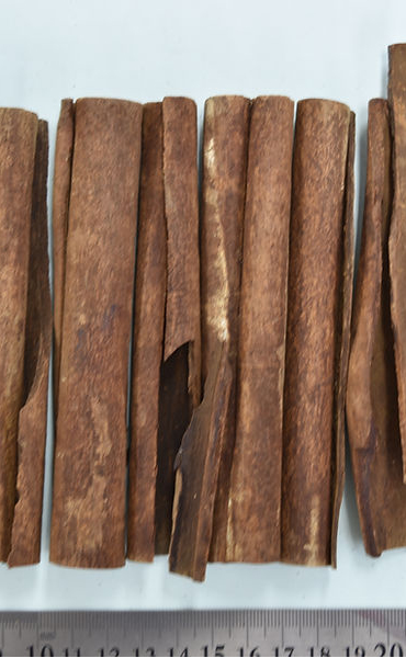 生薬とは・・・