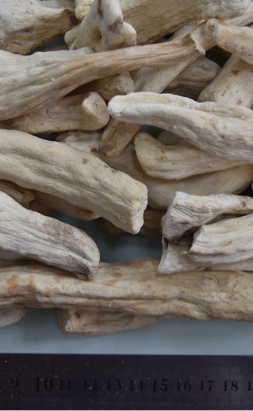 生薬とは・・・